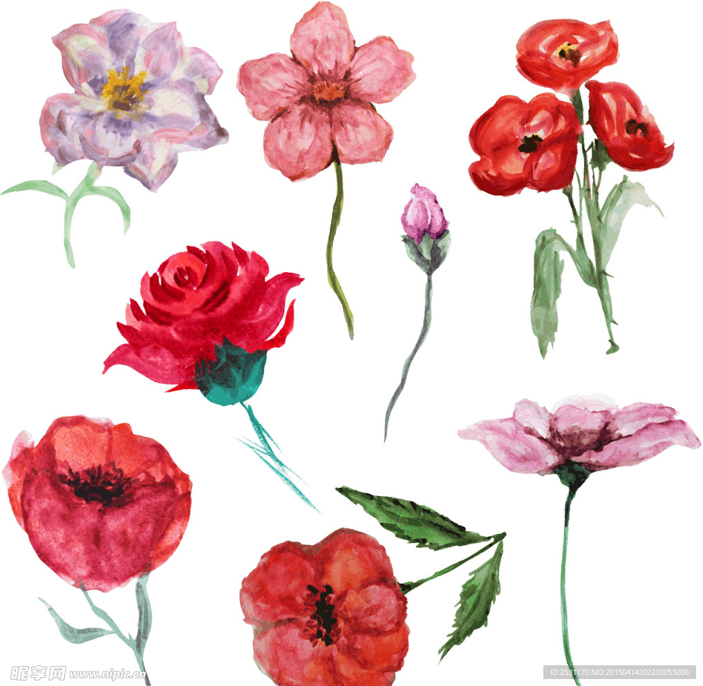 手绘花卉