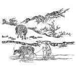 牛