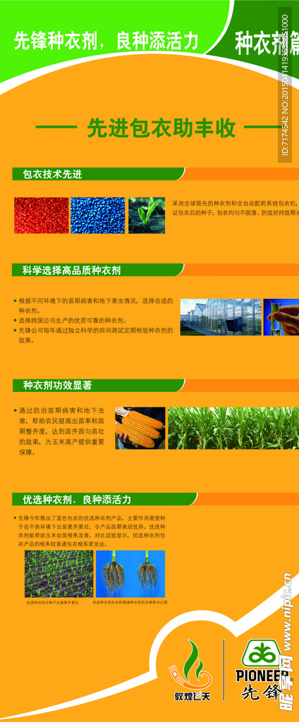 先锋种业展架