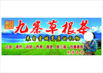 九寨草根茶