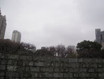 街景