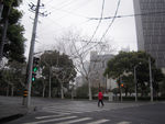 街景