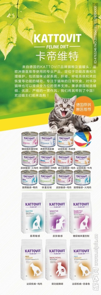 宠物猫咪粮食展架