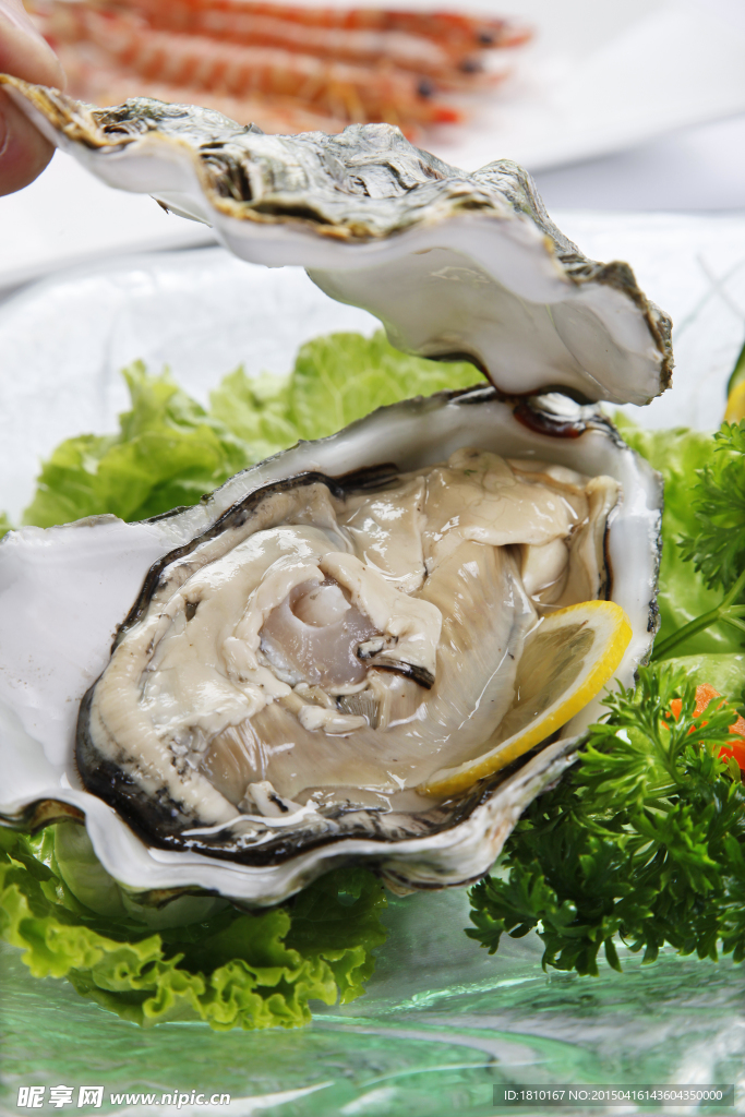 生蚝