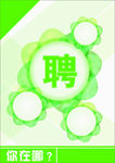 招聘海报