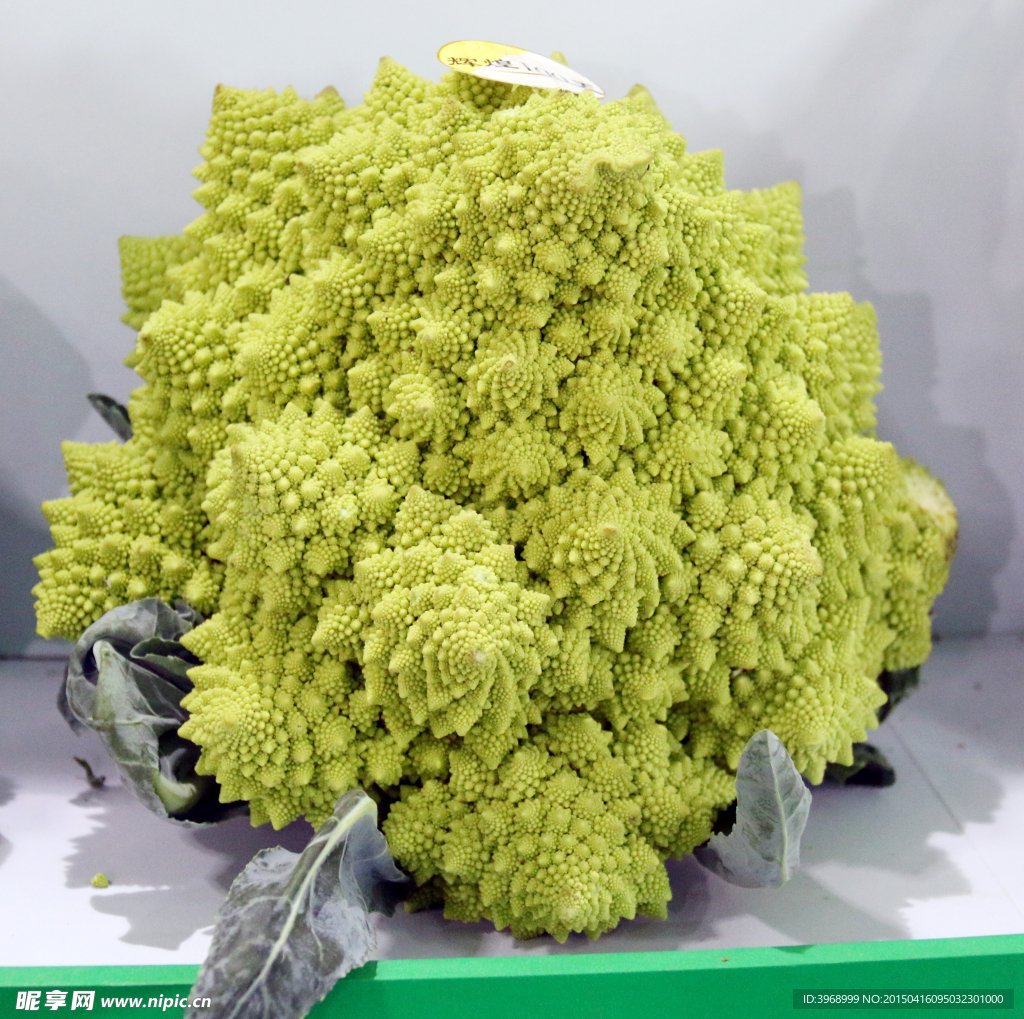 花菜