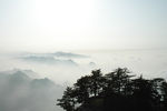 华山东之美