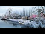 冬天湖边风景