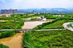 黄河银滩大桥