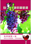 自家酿的葡萄酒