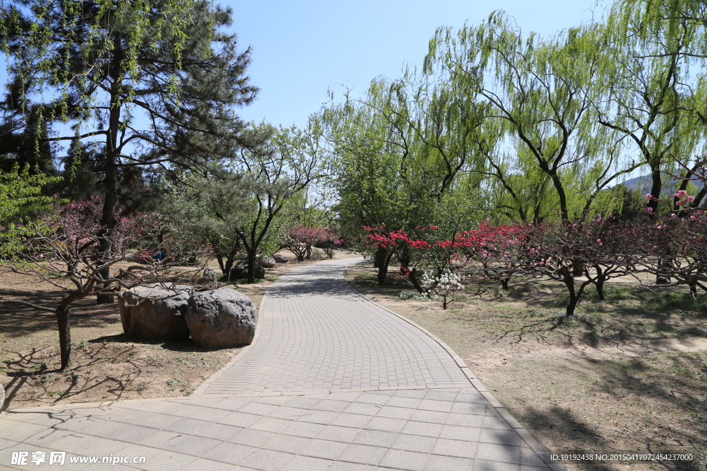 小路