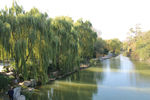 大明湖