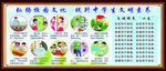 中学生文明素养宣传栏