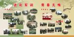 迷彩军训  青春无悔