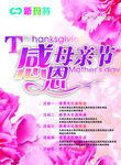 感恩母亲节