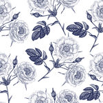 插画鲜花