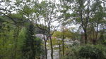 山林