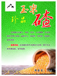 粮食  玉米碴