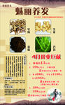 茶麸洗发