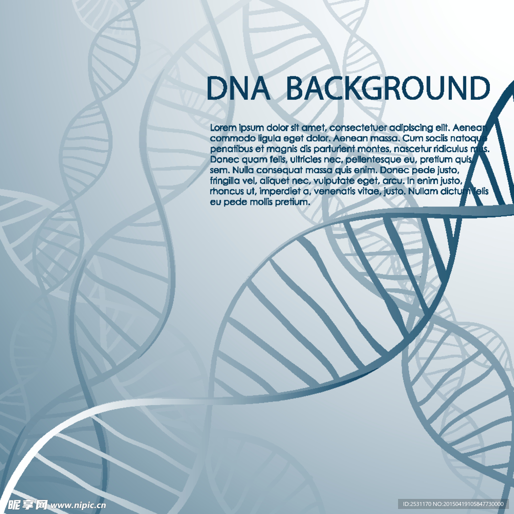 基因DNA