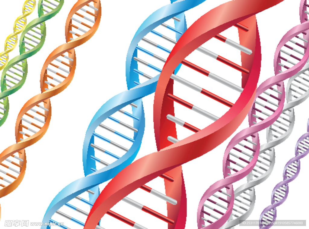 基因DNA