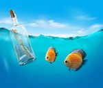 漂流瓶