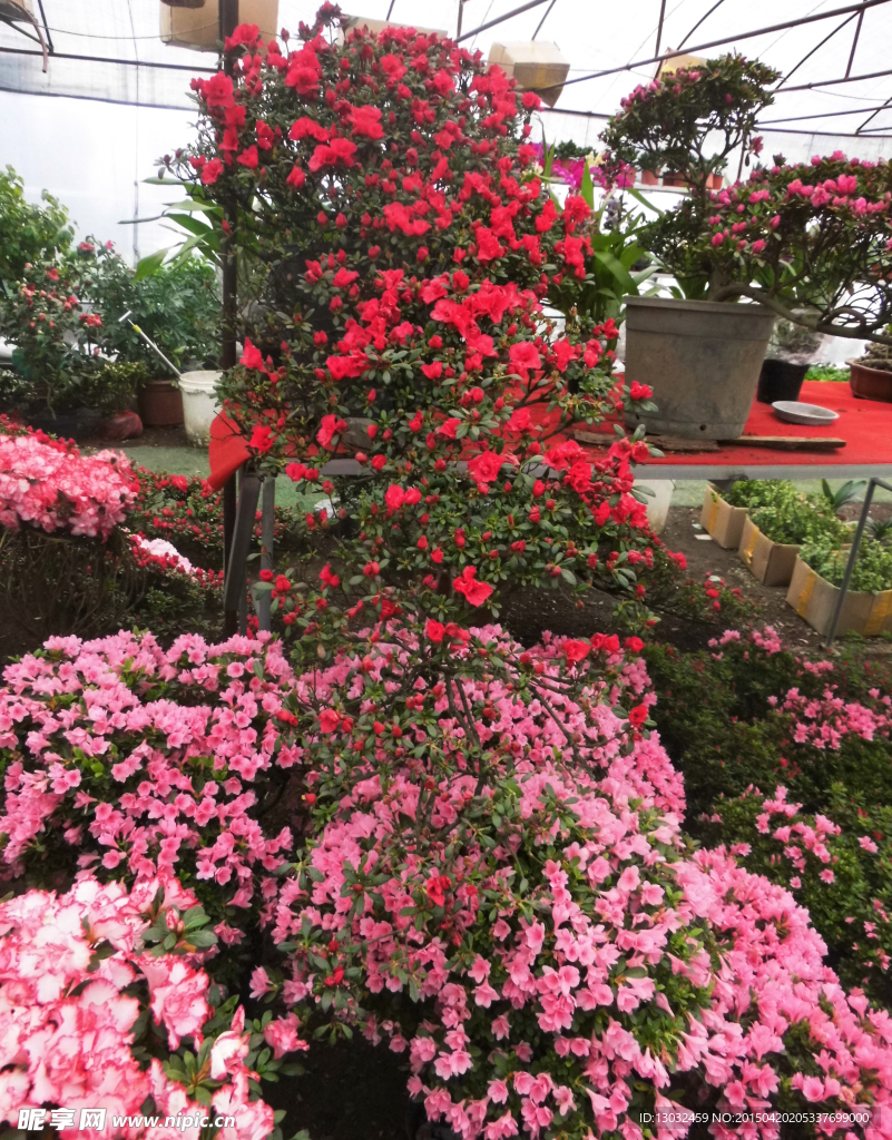 花