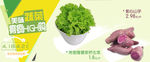 蔬菜特价海报