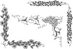 植物花纹