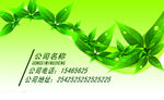 绿色名片 公司名片