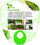 O形扇