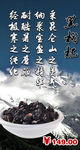 黑枸杞广告