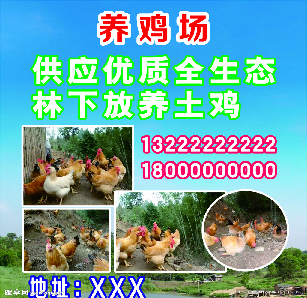 养鸡场