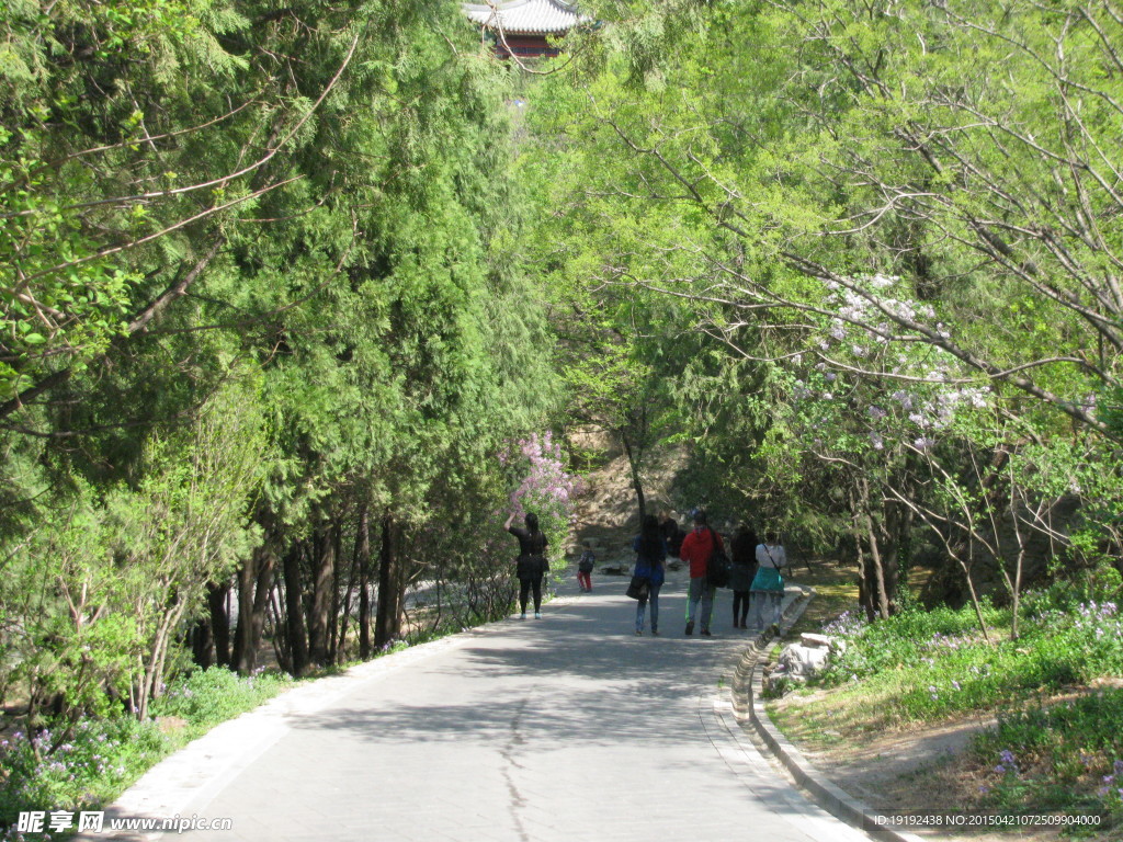 小路