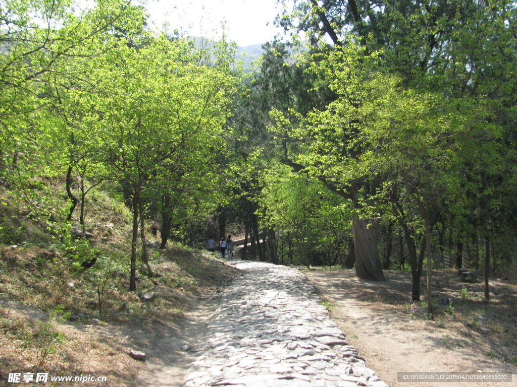 山路