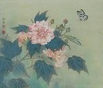 木芙蓉