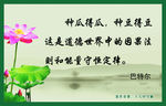 学校标语