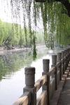 泉城河道