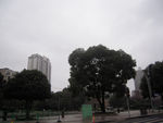 街景