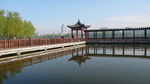 莲花池公园一景