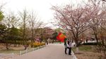 玉渊潭公园风光