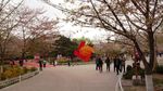 玉渊潭公园风光