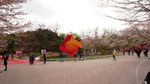 玉渊潭公园风光