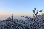 黄山云海风光图片