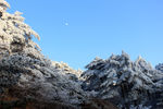 黄山云海风光图片