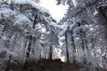 黄山云海风光图片