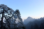 黄山云海风光图片