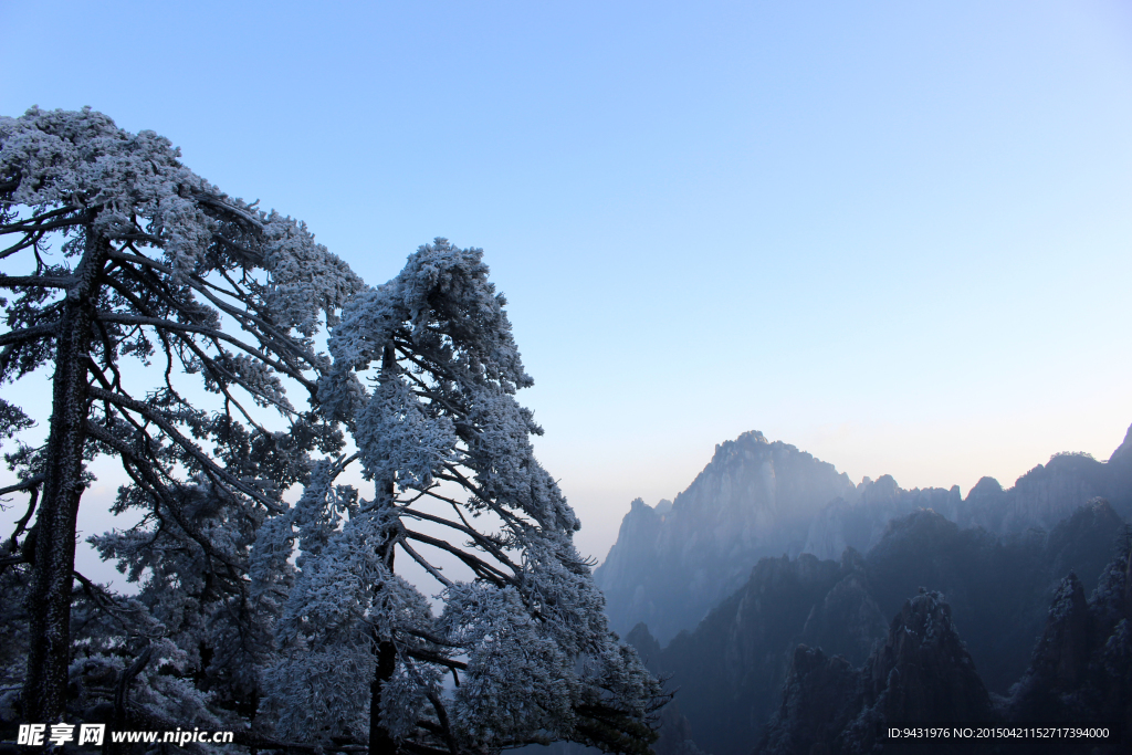 黄山云海风光图片