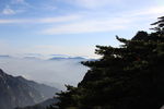 黄山云海风光图片