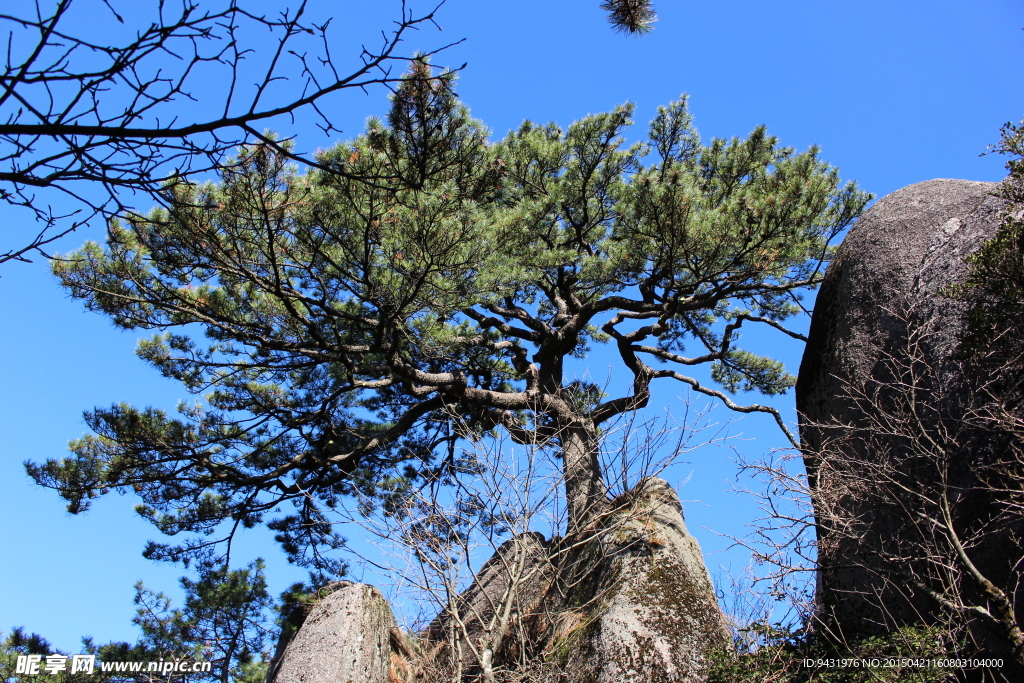 黄山云海风光图片